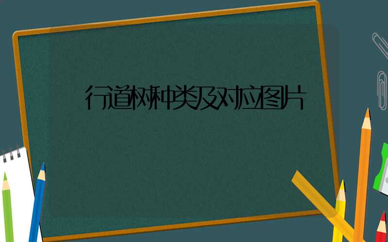  行道树种类及对应图片